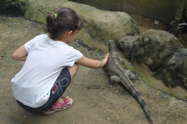 Svara petting a large iguana